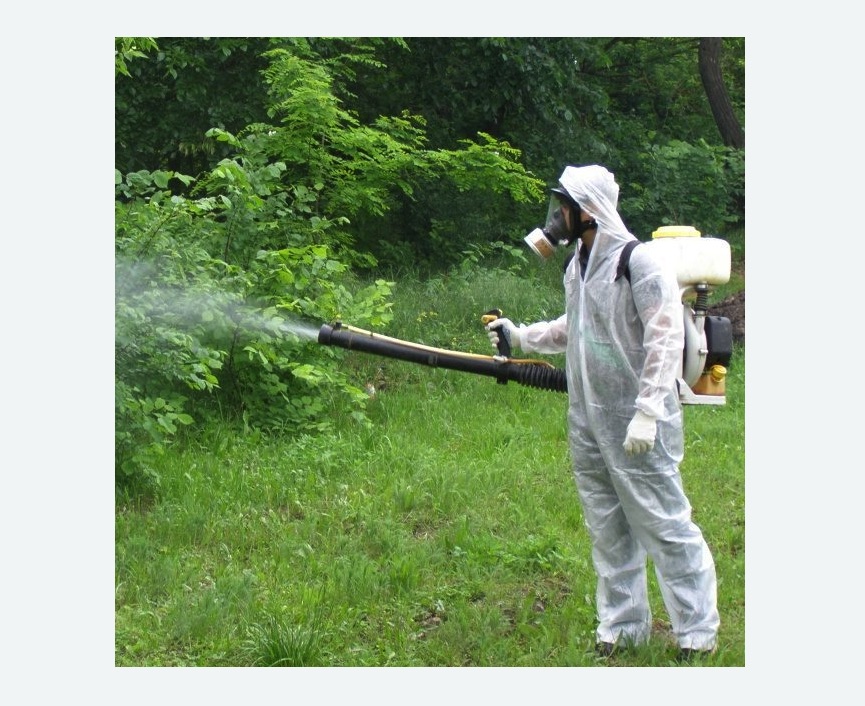 обработка территории от клещей в Емельяново