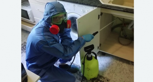 Уничтожение муравьев в квартире. Емельяново