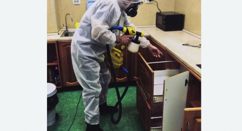 Дезинсекция квартиры. Емельяново