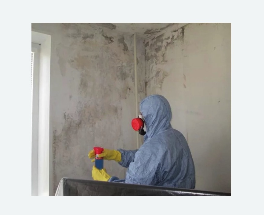 Удаление плесени в квартире в Емельяново