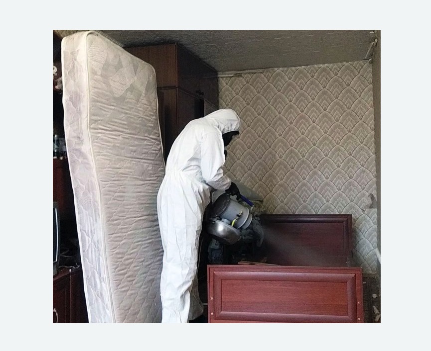 дезинфекция от клопов в Емельяново