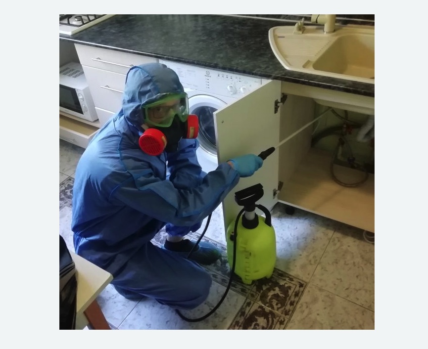 обработка от муравьев в квартире в Емельяново