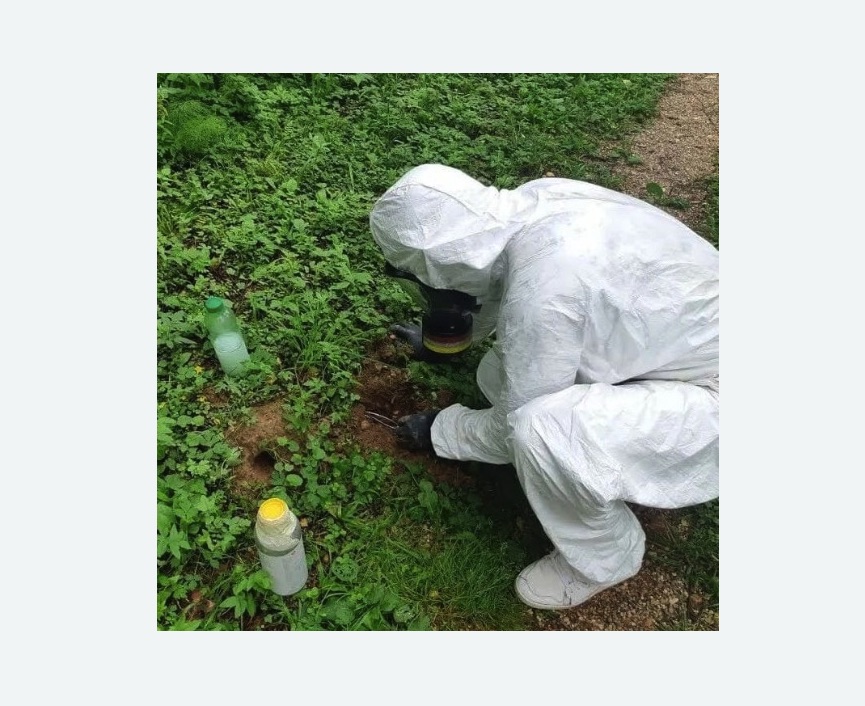 уничтожение кротов на участке в Емельяново