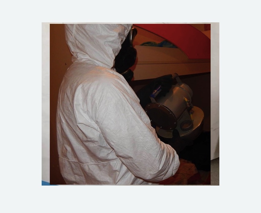 Дезинфекция от муравьев в Емельяново