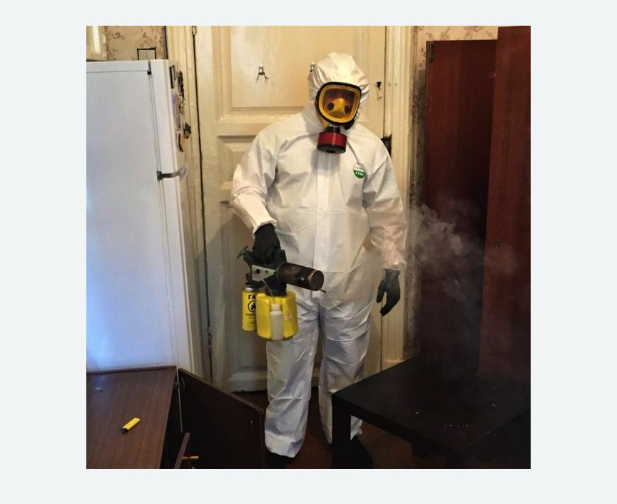 уничтожение муравьев в квартире в Емельяново